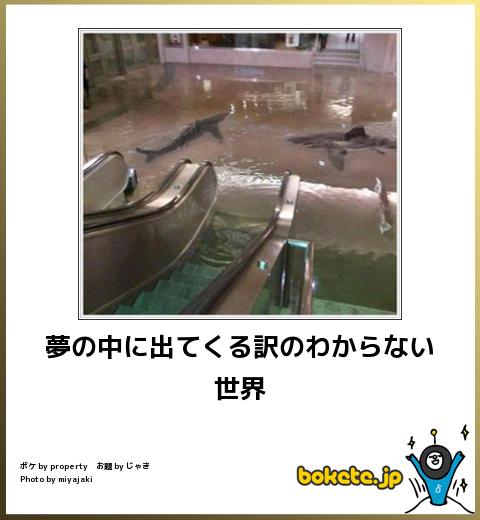 爆笑,腹痛い,bokete,画像,まとめ689