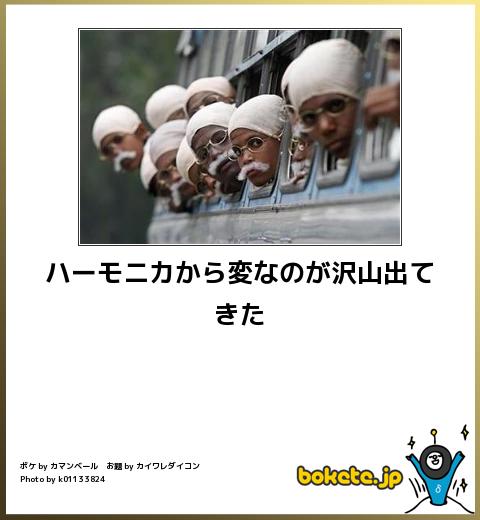 爆笑,腹痛い,bokete,画像,まとめ909