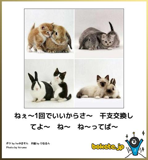 爆笑注意,おもしろ,bokete,ボケて,画像,まとめ4008