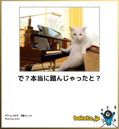 爆笑注意,おもしろ,bokete,ボケて,画像,まとめ229