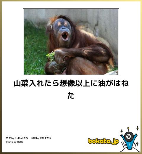 爆笑注意,おもしろ,bokete,ボケて,画像,まとめ651
