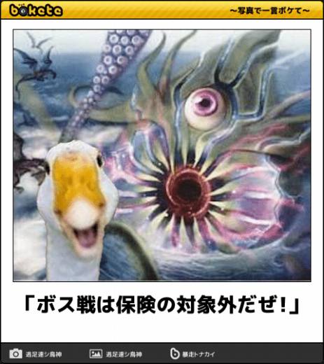爆笑注意,おもしろ,bokete,ボケて,画像,まとめ11756