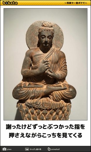 爆笑注意,おもしろ,bokete,ボケて,画像,まとめ2006