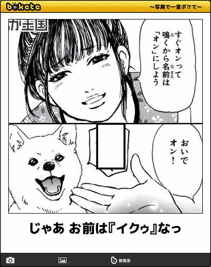 爆笑注意,おもしろ,bokete,ボケて,画像,まとめ8667