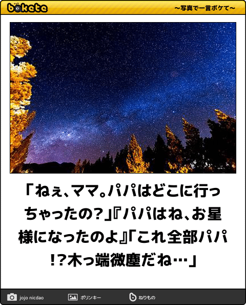 爆笑,腹痛い,bokete,画像,まとめ