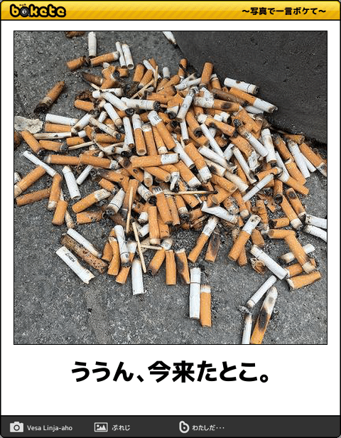 爆笑,腹痛い,bokete,画像,まとめ