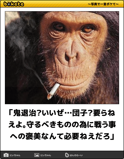 爆笑,腹痛い,bokete,画像,まとめ