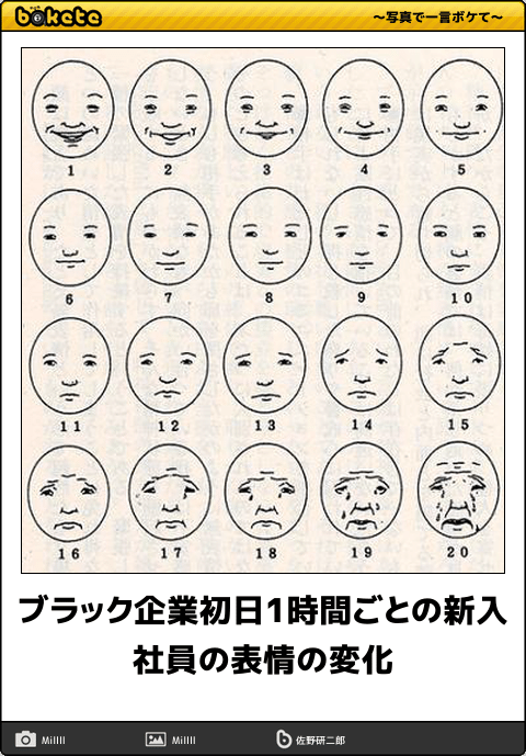 まとめ, 画像, おもしろ, ボケて, 爆笑注意, bokete