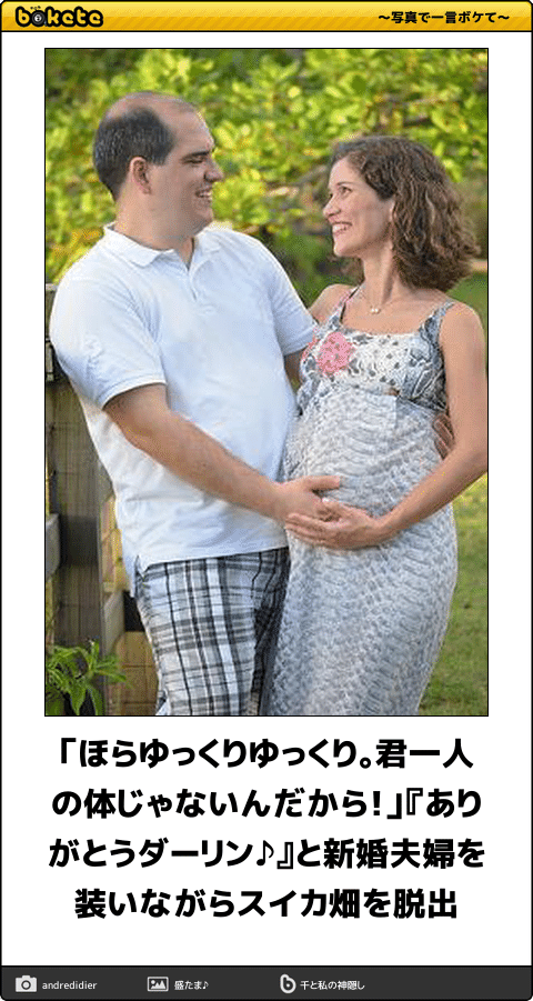 爆笑,腹痛い,bokete,画像,まとめ