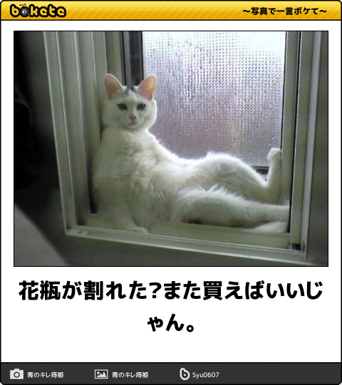 爆笑,腹痛い,bokete,画像,まとめ