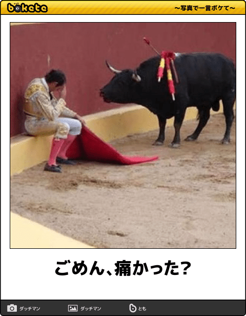 まとめ, 画像, 爆笑, 腹痛い, bokete